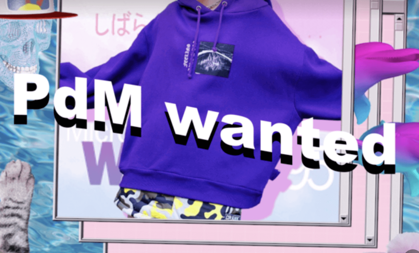 プロ人材&代表とバーチャルインフルエンサーを扱うIP事業のPM wantedのカバー写真
