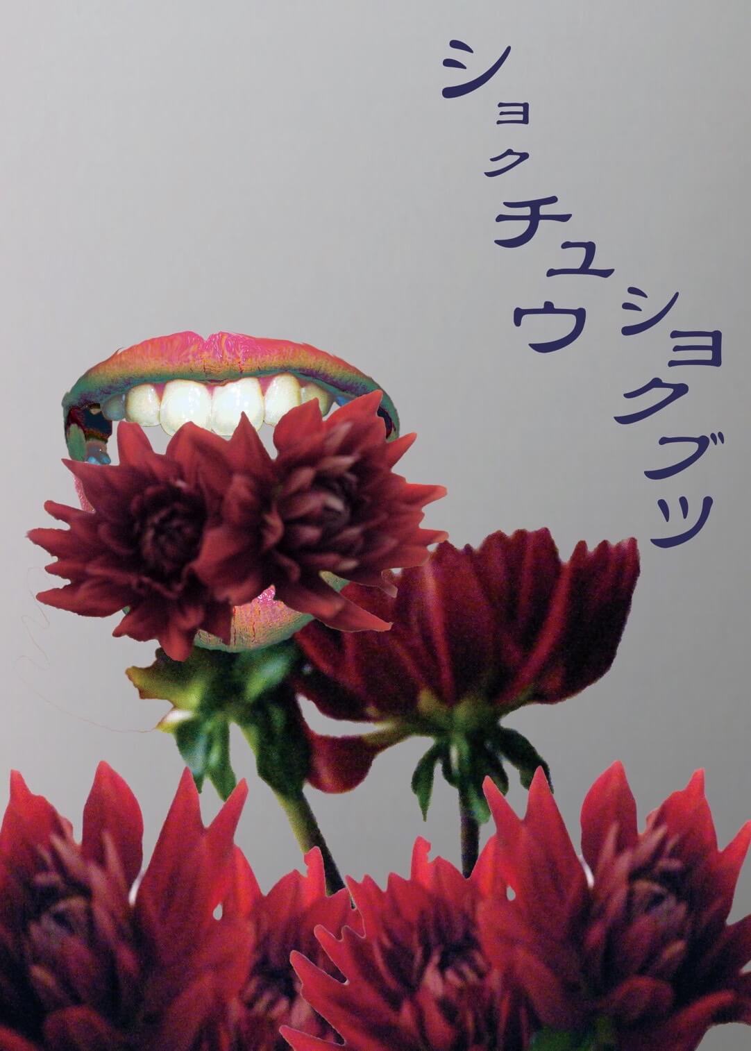 カバーの写真