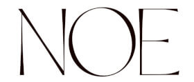 株式会社ノエのロゴ写真