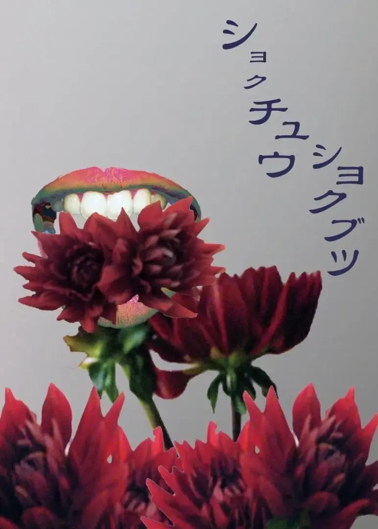 カバーの写真