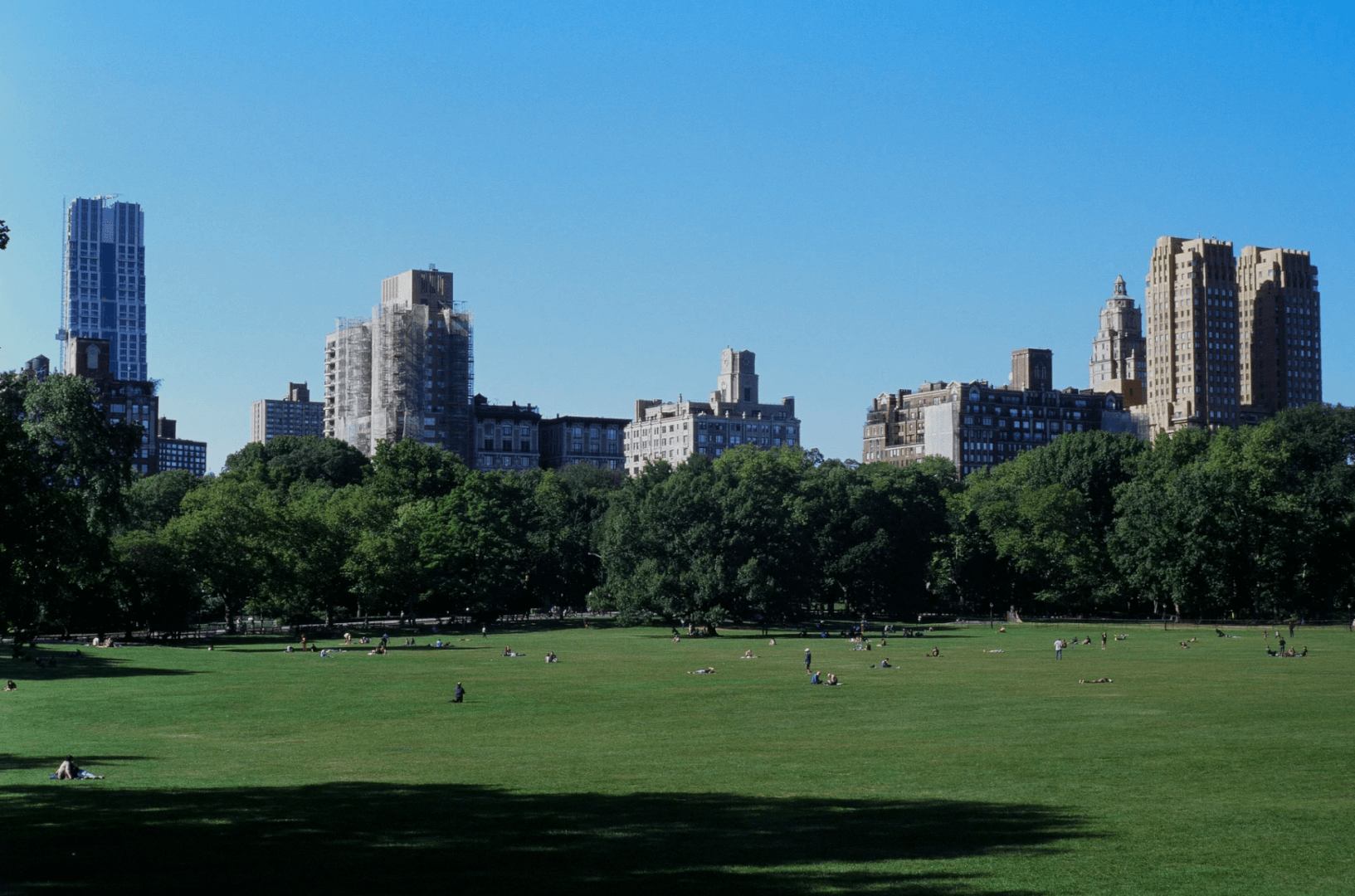 国内 卸営業 （レディースファッション）