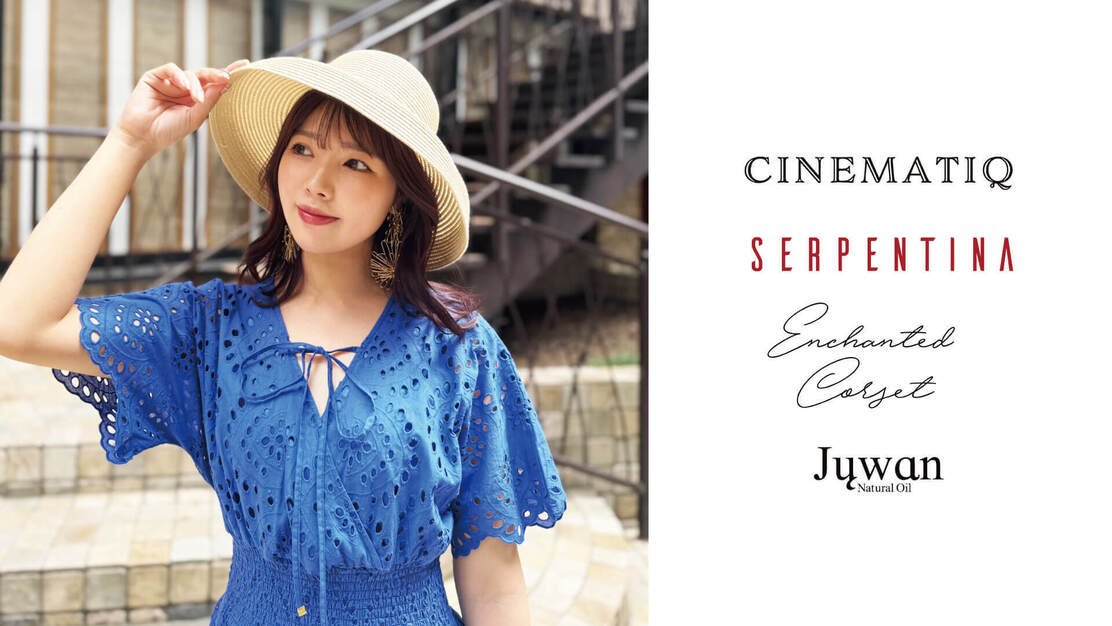 【SNS運用リーダー】運用設計～ディレクション/チームマネジメント/のカバー写真