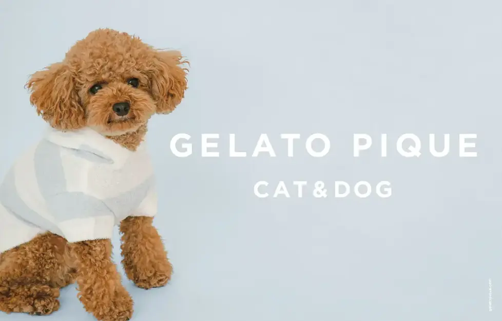 【ジェラートピケCAT&DOG／デザイナー】業界大手◎グループ連結1,000億超のカバー写真