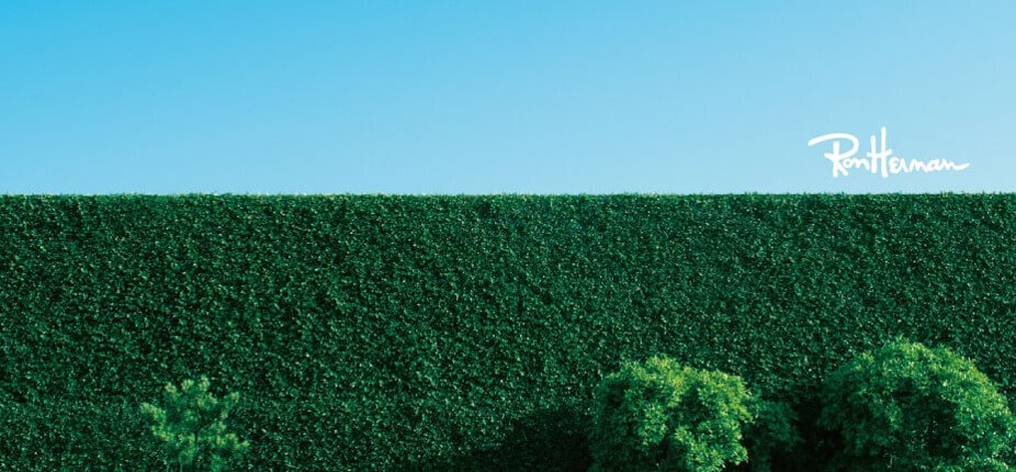 【ロンハーマン｜生産管理カットソー担当】本社勤務｜土日祝休み｜年間休日118日のカバー写真