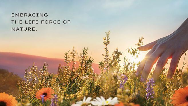 【美容部員】『Jurlique』オーガニックコスメ  契約社員　研修有　未経験可のカバー写真