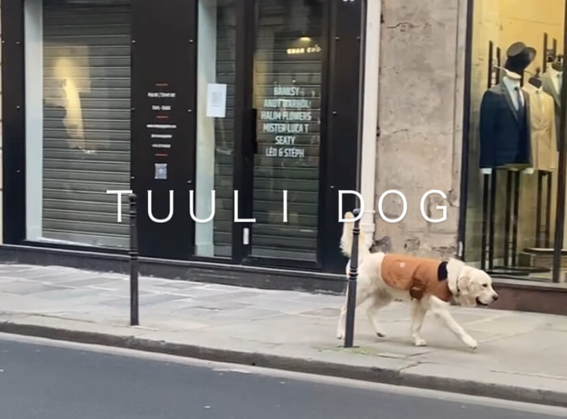 ブランドディレクター募集　◎かわいい、好きを広げるお仕事のカバー写真